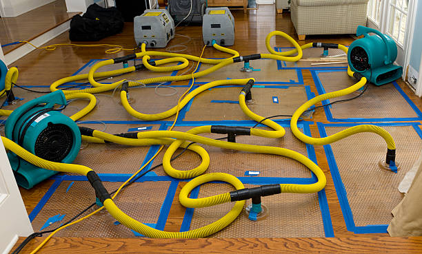 Professional Structural Drying And Dehumidification technician working in Danbury, WI